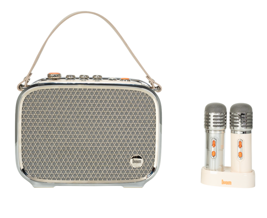 Enceinte Karaoké Songbird Ultra
